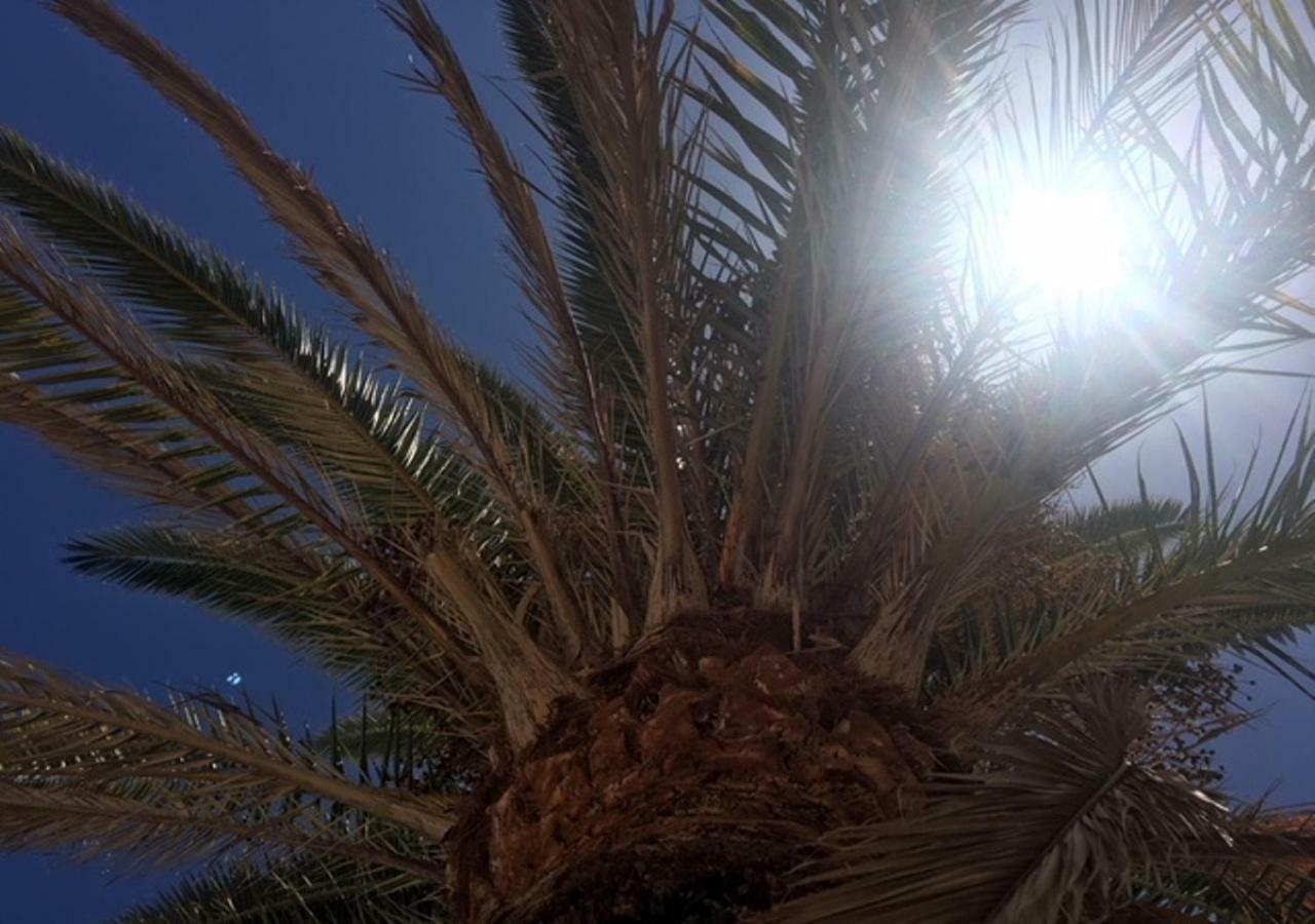La Gema Del Sur Appartement Maspalomas  Buitenkant foto